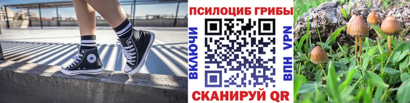 Псилоцибиновые грибы ЛСД  mega онион  нарко площадка какой сайт  Нелидово 